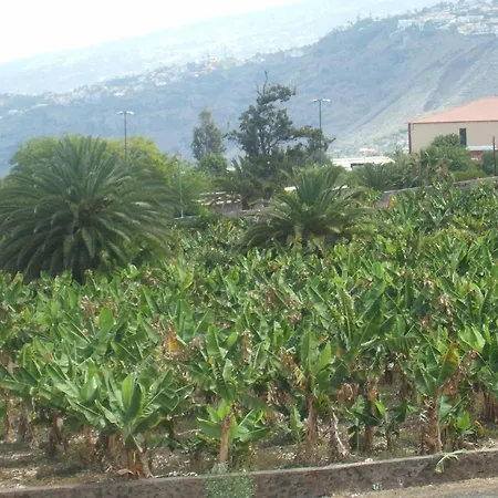 Fewo-mar-y-teide-romantico-grosszuegig-mit-2-terrassen-pool-parkplatz-sicht-auf-meer-und-teide Apartment *